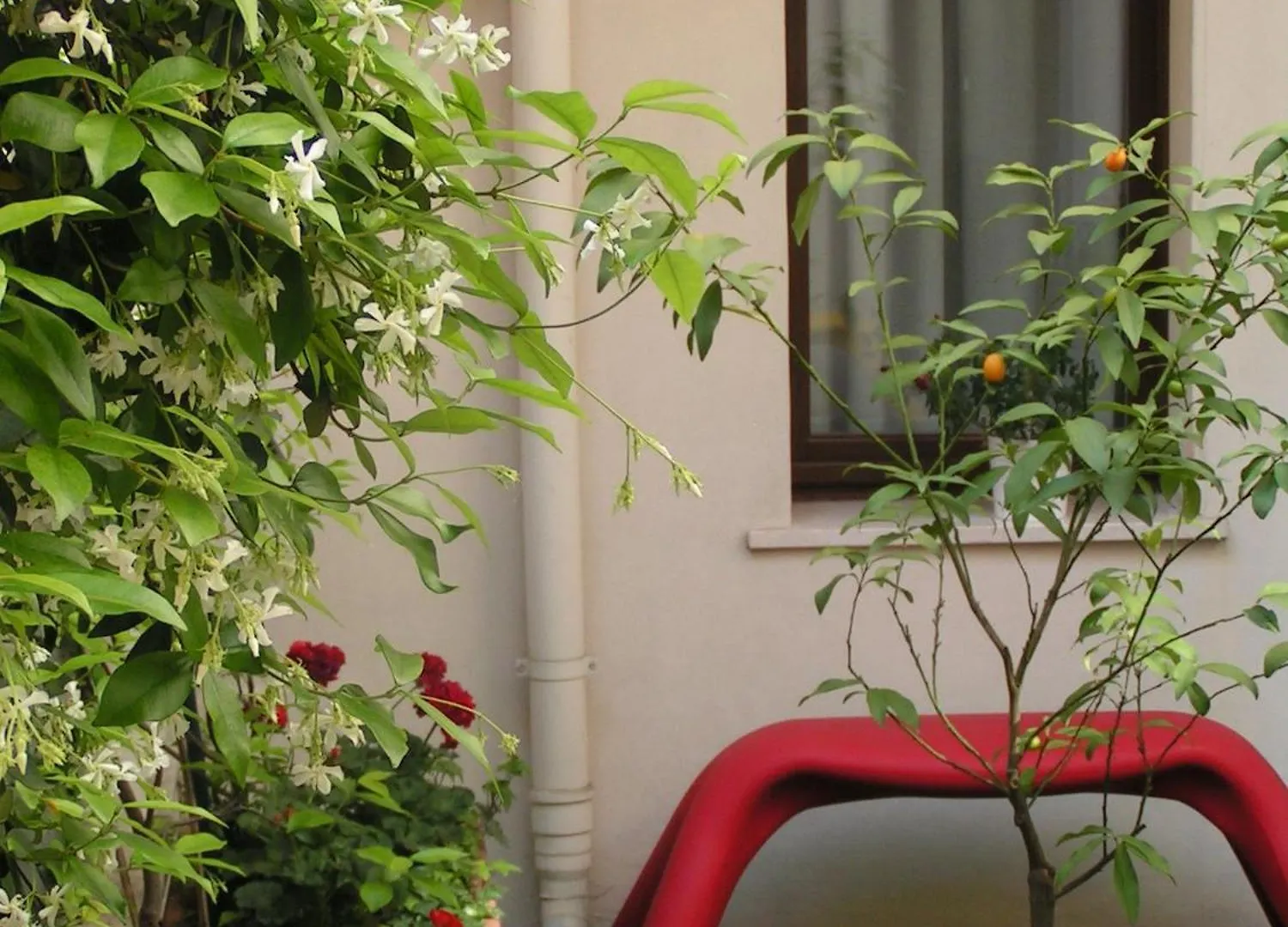 Hotel Albergo Verdi Padova